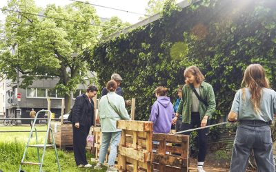 Gartentipps von der anstiftung